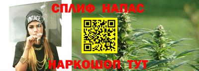 стаф Камышлов