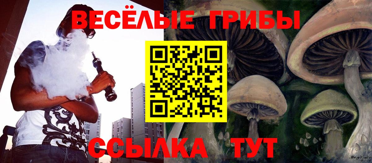 Псилоцибиновые грибы Cubensis Киржач