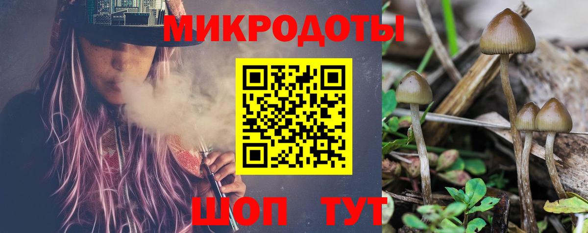 Галлюциногенные грибы MAGIC MUSHROOMS  Галлюциногенные грибы Psilocybe  Вход с VPN  Киржач 