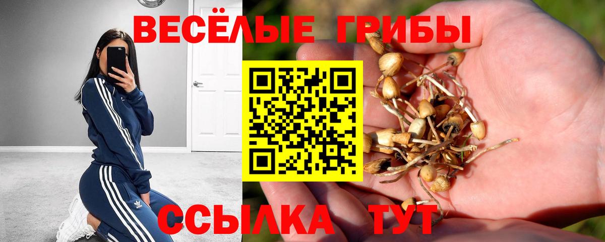 COCAIN  МЕТ  Меф кристаллы  Вход с VPN  Гашиш  ТГК  Киржач  ГАШИШ  МЕФ  Канабис 